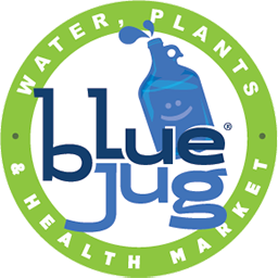 Blue Jug